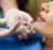 Restylane fillers
